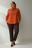 Picture of CURVY GIRL ELEGANT BLOUSE WITH BOW